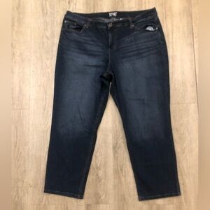 Terra & Sky 18WP Straight Blue Jeans